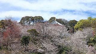 p4050572_thumb.jpg