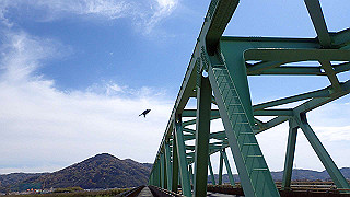 p4050586_thumb.jpg