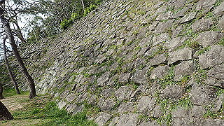 p4050619_thumb.jpg