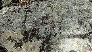 p4050620_thumb.jpg