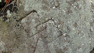 p4050622_thumb.jpg