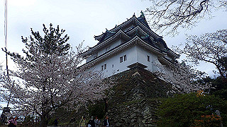 p4050634_thumb.jpg