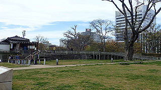 p4050647_thumb.jpg