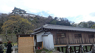 p4050650_thumb.jpg