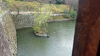 p4050651_thumb.jpg
