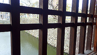 p4050653_thumb.jpg
