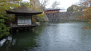 p4050658_thumb.jpg