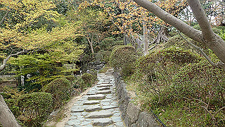 p4050659_thumb.jpg