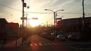 p4050662_thumb.jpg