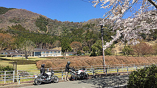 20190413_013706605_ios_thumb.jpg