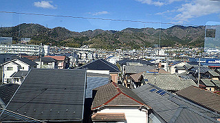p4130476_thumb.jpg