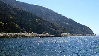 p4130496_thumb.jpg