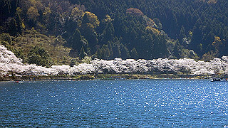 p4130497_thumb.jpg