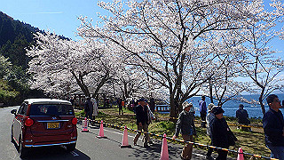 p4130502_thumb.jpg