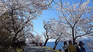 p4130508_thumb.jpg