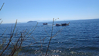 p4130516_thumb.jpg