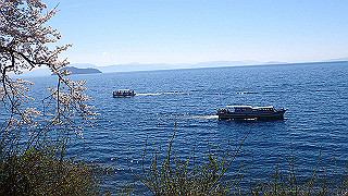 p4130517_thumb.jpg