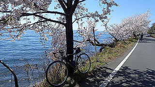 p4130522_thumb.jpg