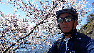 p4130525_thumb.jpg