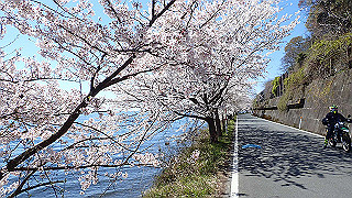 p4130527_thumb.jpg