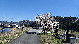 p4130535_thumb.jpg