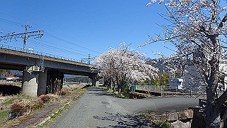 p4130537_thumb.jpg