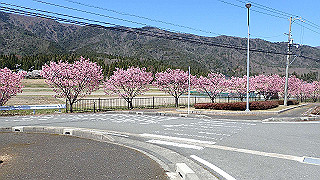 p4130541_thumb.jpg