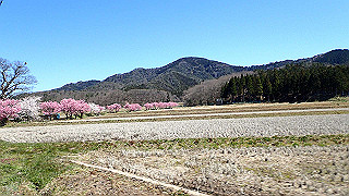 p4130542_thumb.jpg