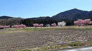 p4130544_thumb.jpg