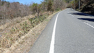 p4130545_thumb.jpg