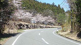 p4130546_thumb.jpg