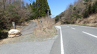 p4130548_thumb.jpg