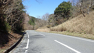 p4130549_thumb.jpg