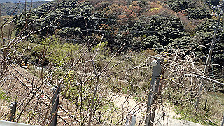 p4130577_thumb.jpg