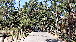 p4130591_thumb.jpg