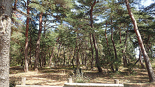 p4130592_thumb.jpg