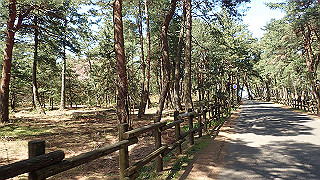 p4130593_thumb.jpg