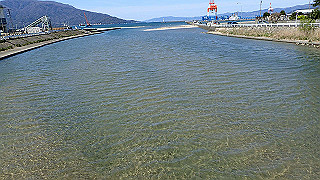 p4130607_thumb.jpg