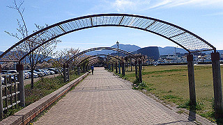 p4130621_thumb.jpg