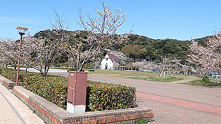 p4130623_thumb.jpg