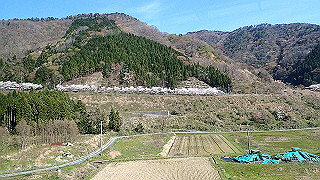 p4130629_thumb.jpg