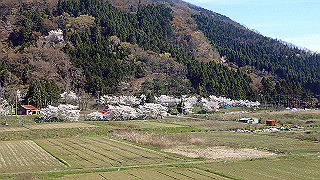 p4130630_thumb.jpg