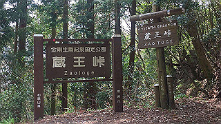 20190419_025109311_ios_thumb.jpg
