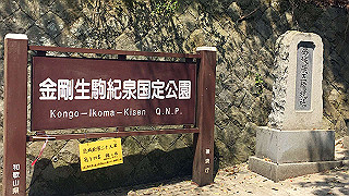 20190419_025157523_ios_thumb.jpg