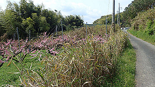 p4190475_thumb.jpg
