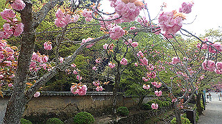 p4190480_thumb.jpg