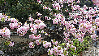 p4190482_thumb.jpg