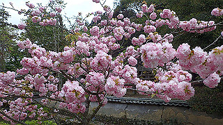 p4190483_thumb.jpg