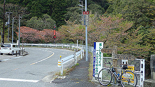 p4190500_thumb.jpg