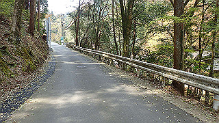p4190501_thumb.jpg